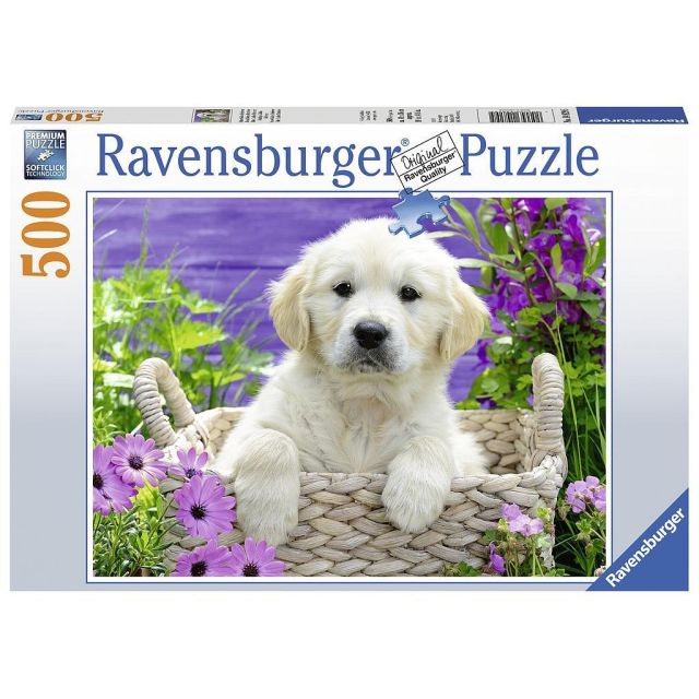 500 detalių dėlionė „Sweet Golden Retriver“