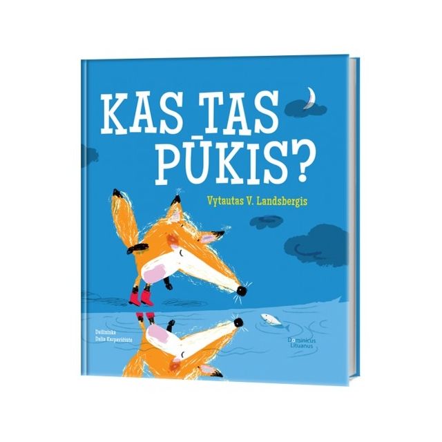 Kas tas Pūkis?