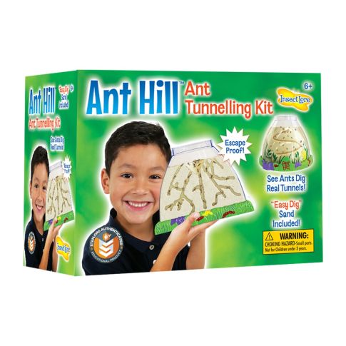 Skruzdėlynas - tunelių pasaulis